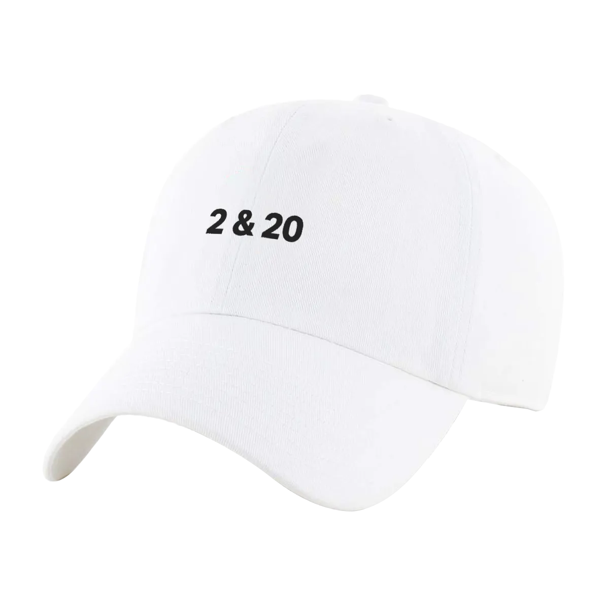 2 & 20 Hat