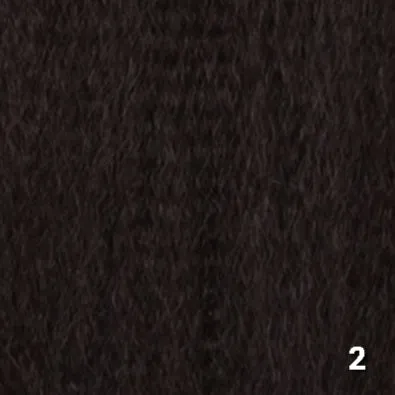 AfroBeauty 2pc Puff Wiglet (L)