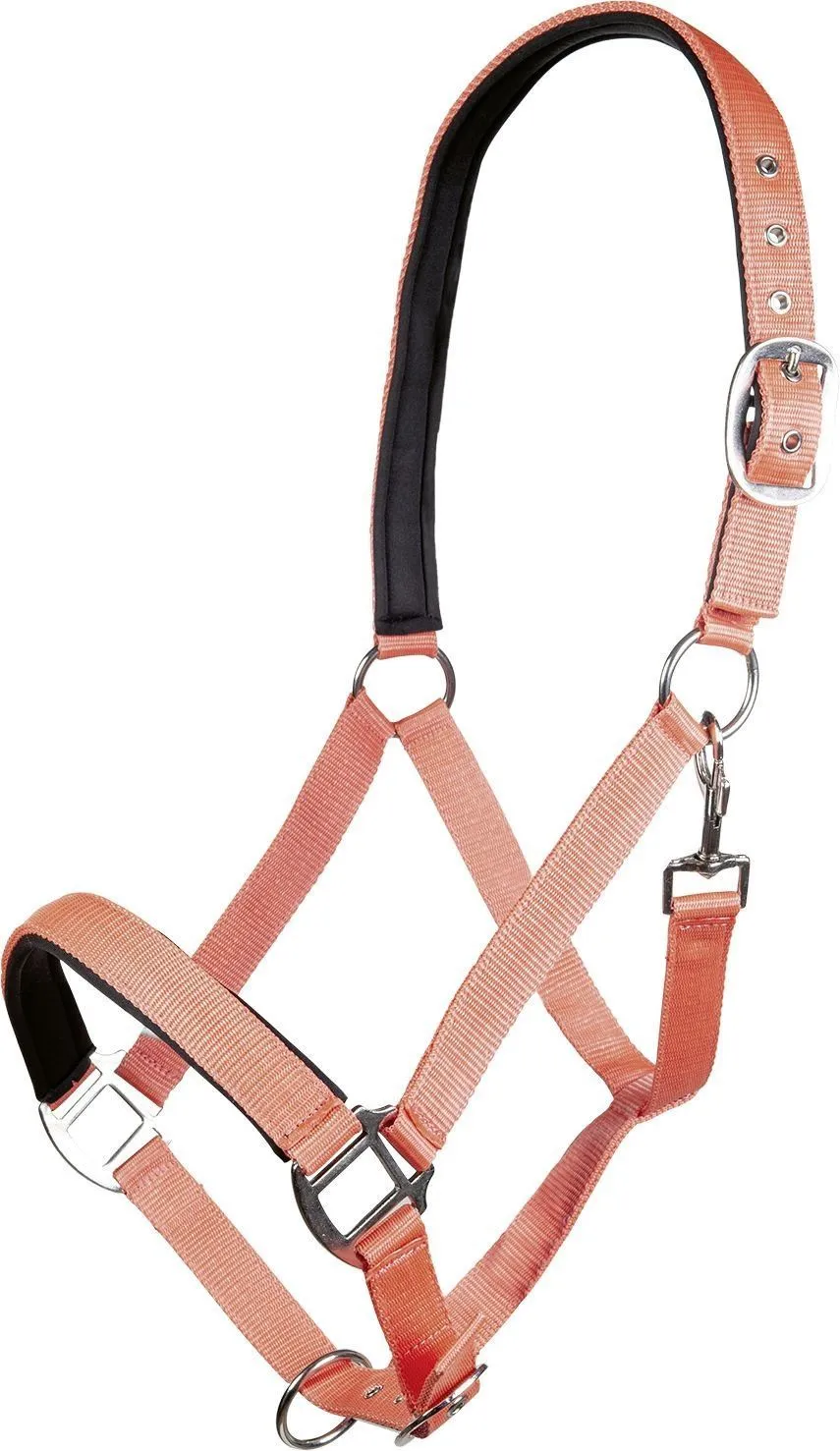 HKM Head Collar Charming With Soft Padding