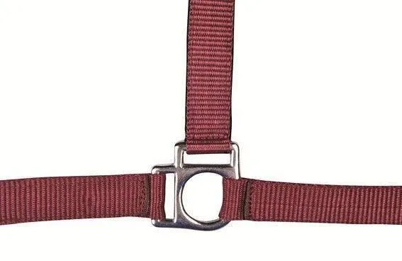 HKM Head Collar Stars With Soft Padding