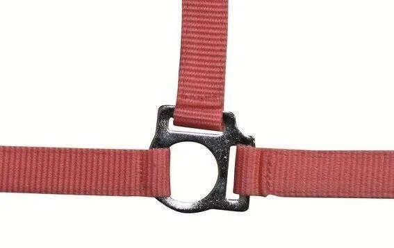HKM Head Collar Stars With Soft Padding