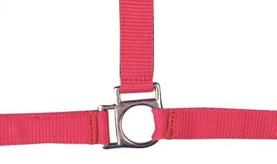 HKM Head Collar Stars With Soft Padding