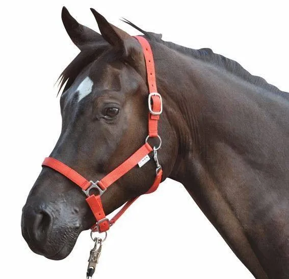 HKM Head Collar Stars With Soft Padding