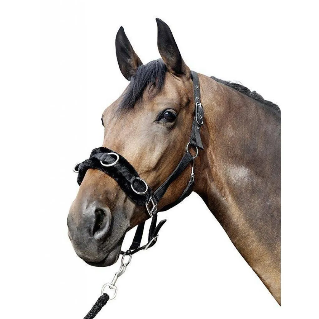 HKM Lunge Cavesson With Plush Padding
