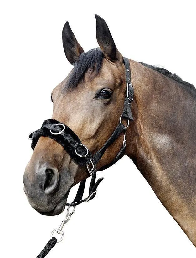 HKM Lunge Cavesson With Plush Padding