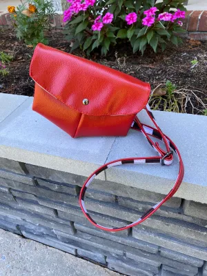 Little Red Dress Handbag