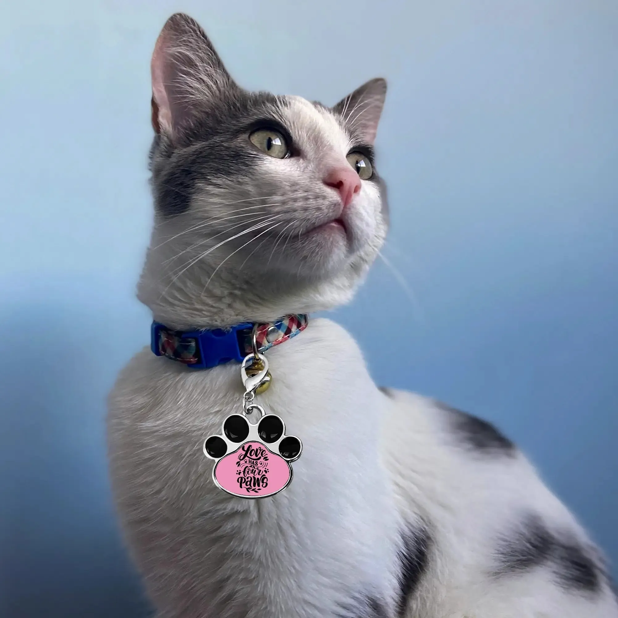 Love Has Four Paws Typography Printed Paw Shaped Pet Tag