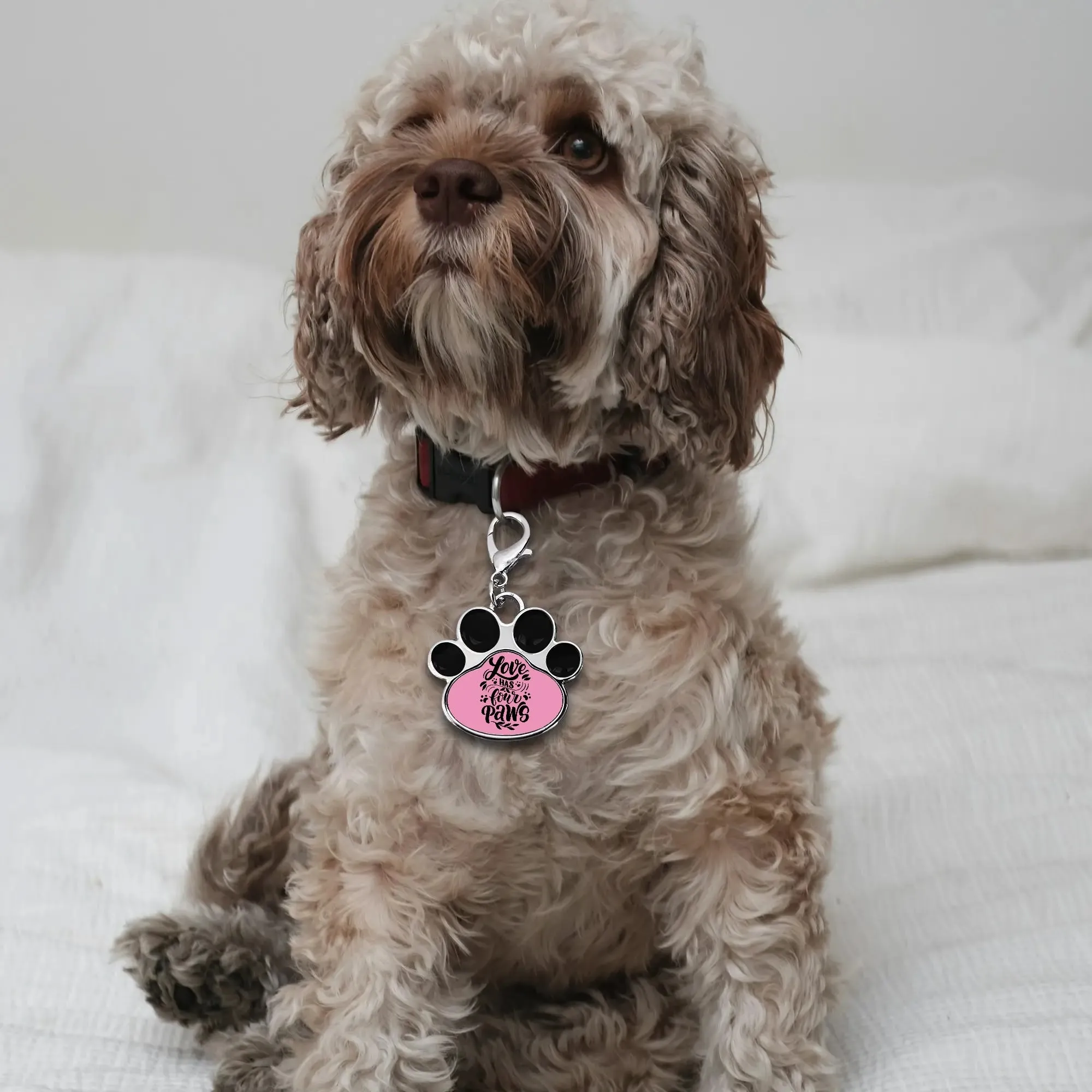 Love Has Four Paws Typography Printed Paw Shaped Pet Tag