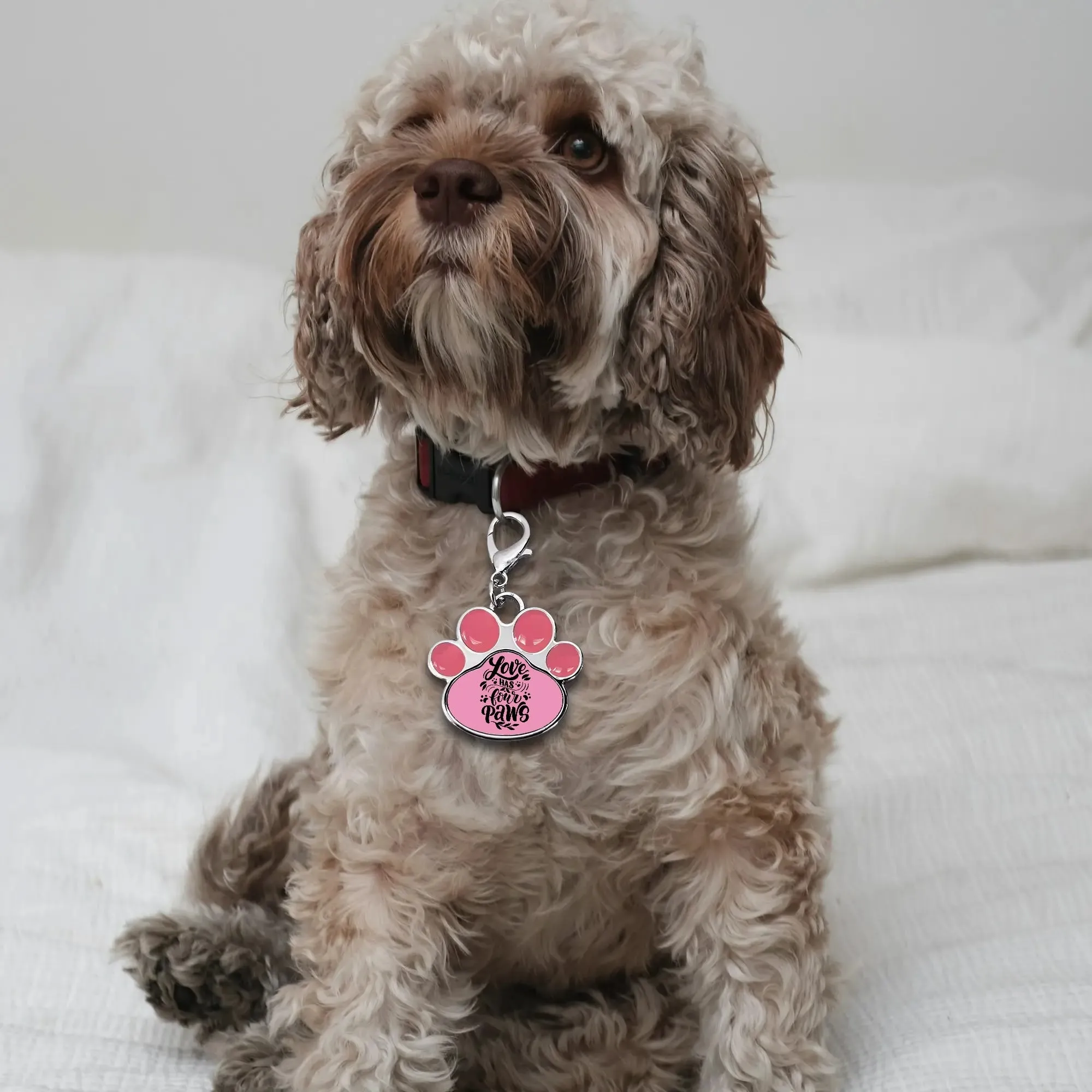 Love Has Four Paws Typography Printed Paw Shaped Pet Tag