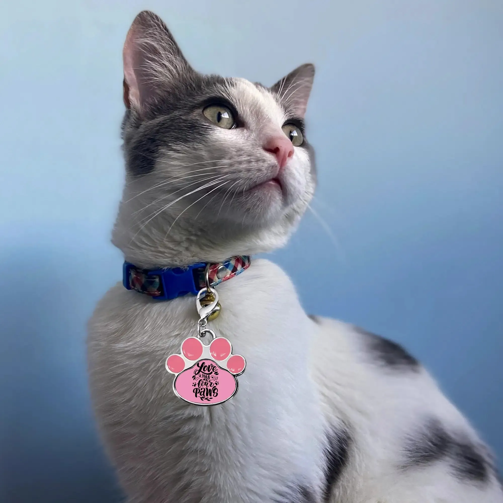 Love Has Four Paws Typography Printed Paw Shaped Pet Tag