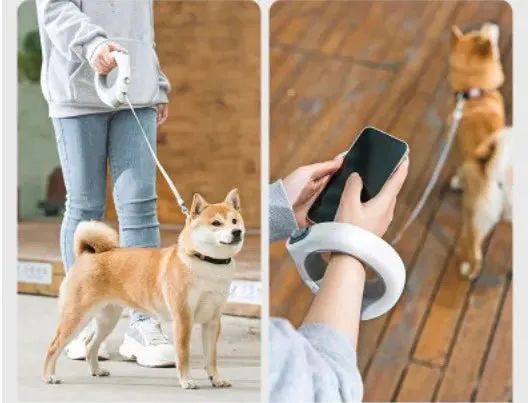 Magic Walk LED Retractable Leash - Hands Free Pet Automatic Leash