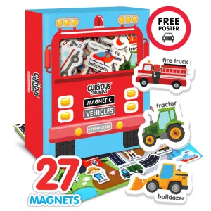 Magnetic Vehicles and Professions - 2 