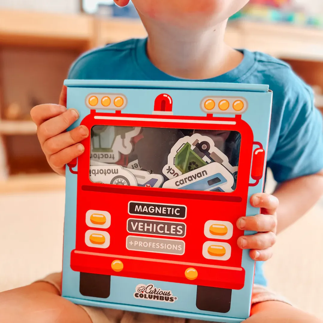 Magnetic Vehicles and Professions - 2 