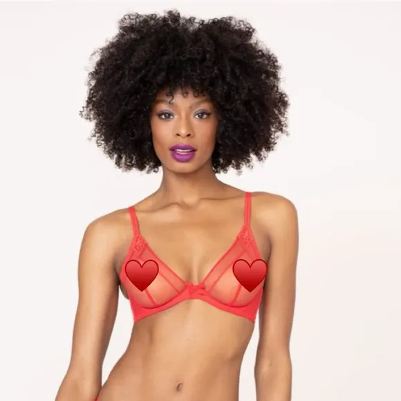 NWT(36C) Agent Provocateur Casper Bra Red Mesh Victorian Embroidery Cherry Logo