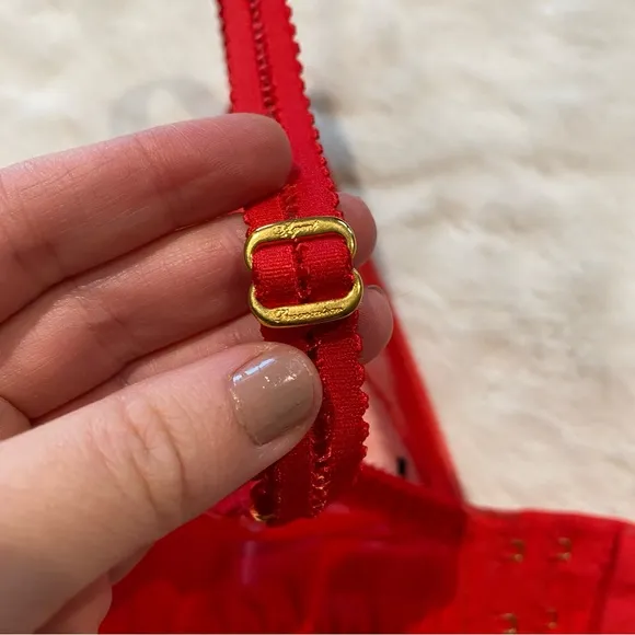 NWT(36C) Agent Provocateur Casper Bra Red Mesh Victorian Embroidery Cherry Logo