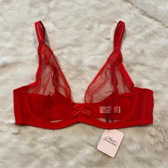 NWT(36C) Agent Provocateur Casper Bra Red Mesh Victorian Embroidery Cherry Logo
