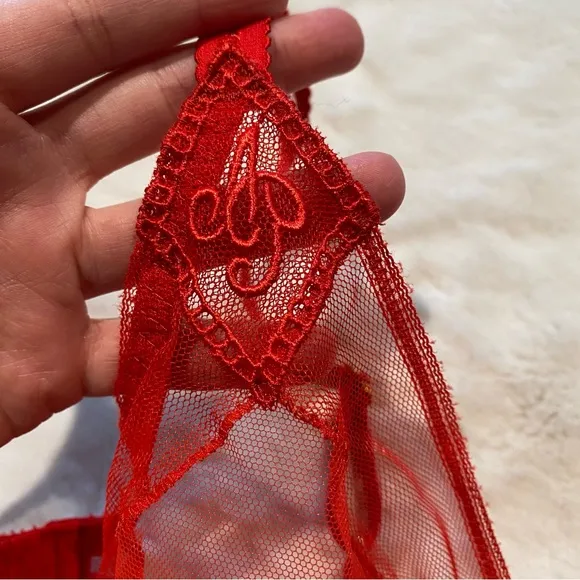 NWT(36C) Agent Provocateur Casper Bra Red Mesh Victorian Embroidery Cherry Logo