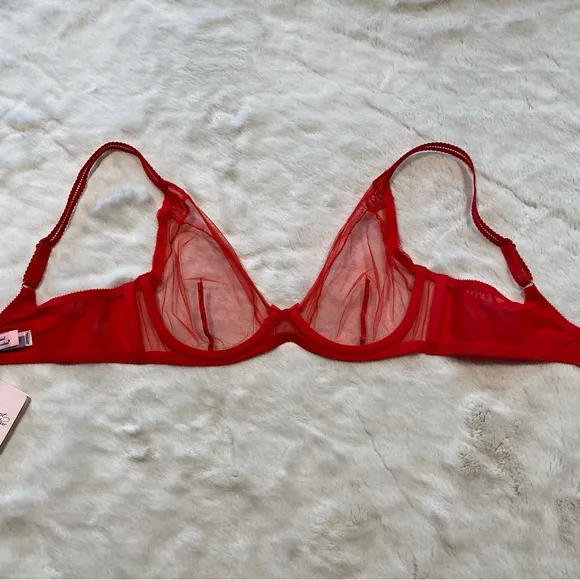 NWT(36C) Agent Provocateur Casper Bra Red Mesh Victorian Embroidery Cherry Logo