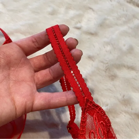 NWT(36C) Agent Provocateur Casper Bra Red Mesh Victorian Embroidery Cherry Logo