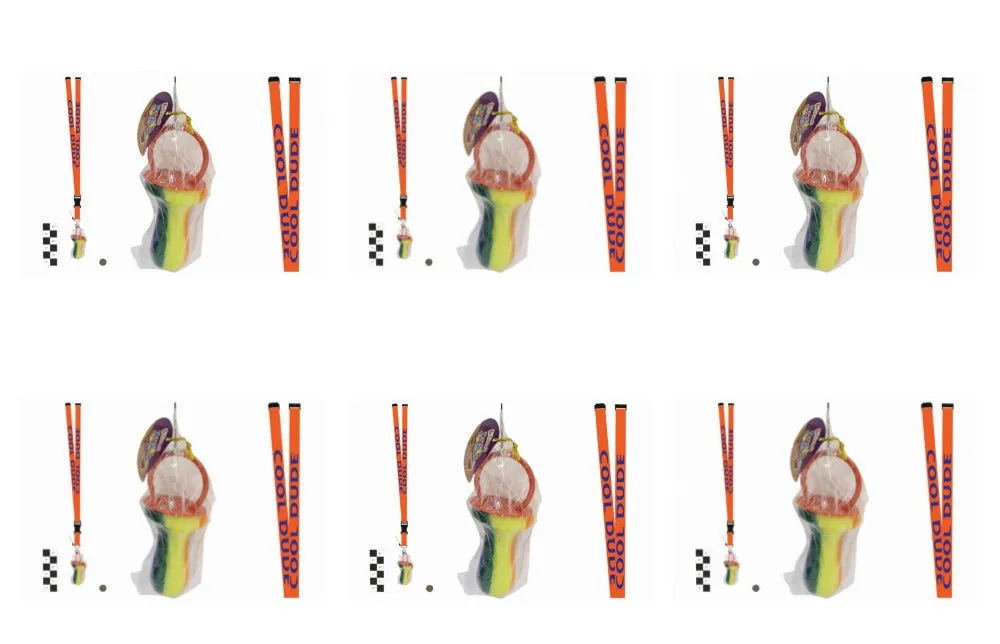 Pack Of 6 Rock Dummies With Cool Dude Lanyards