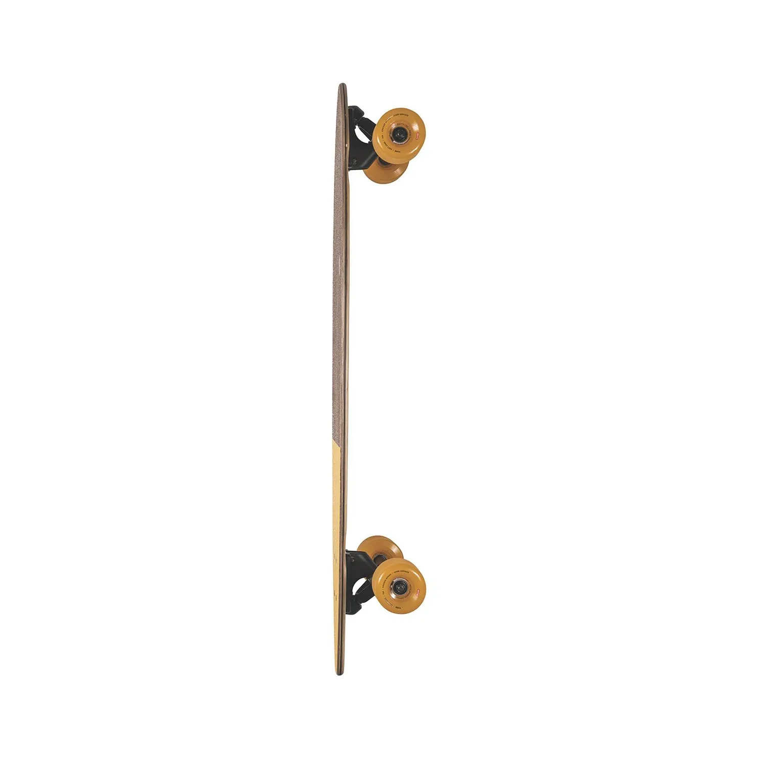 Pintail 34