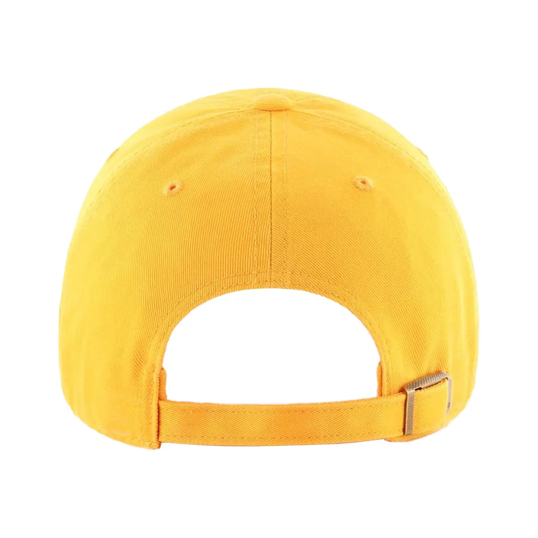 Retired Asset Hat