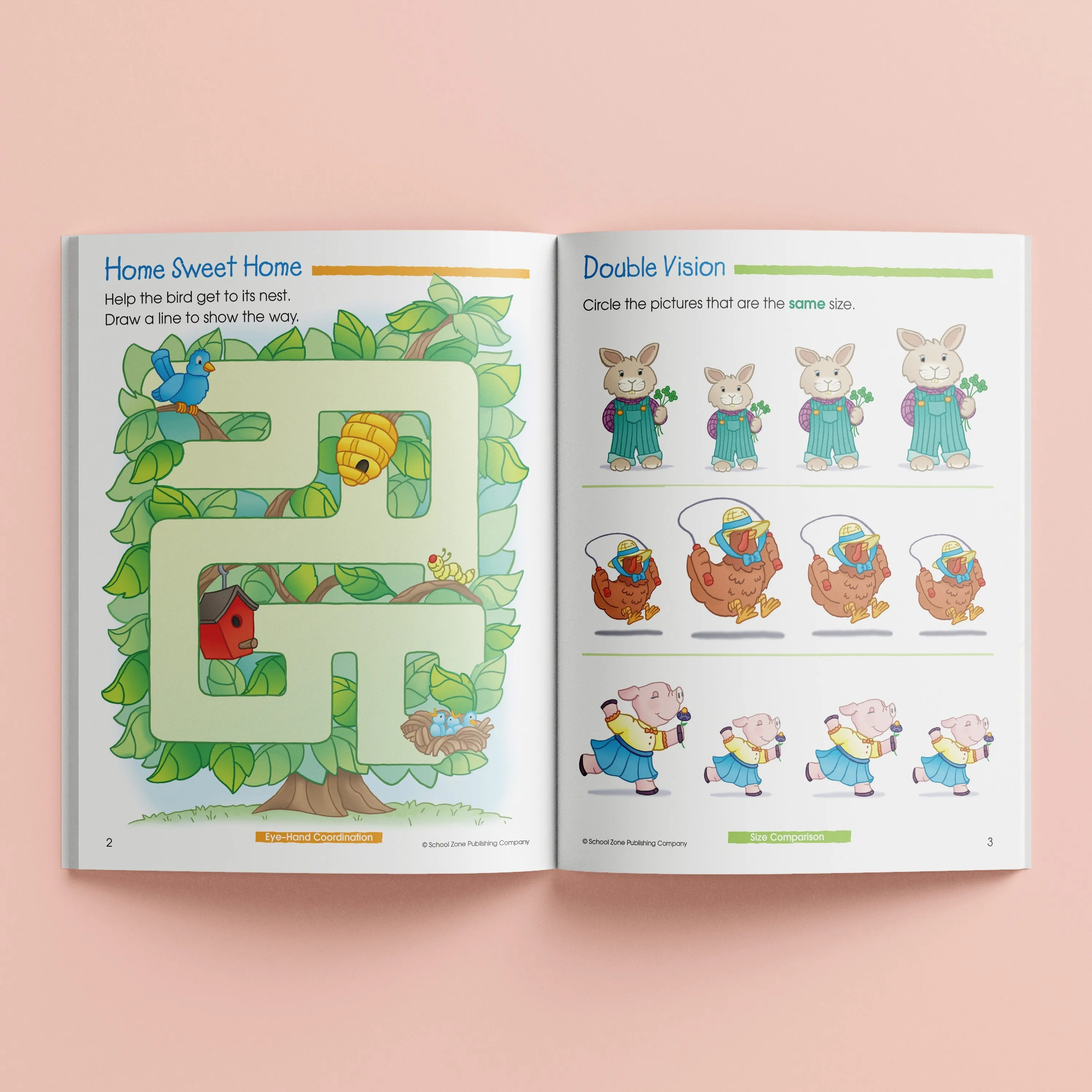 School Zone Preschool School Basics