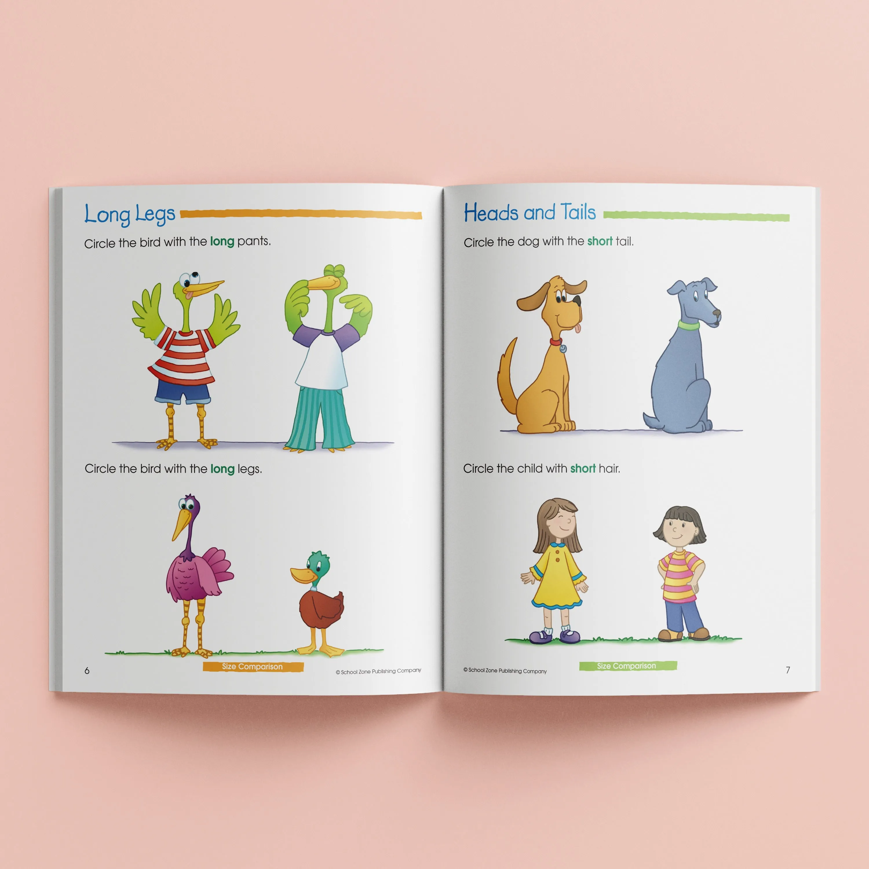 School Zone Preschool School Basics