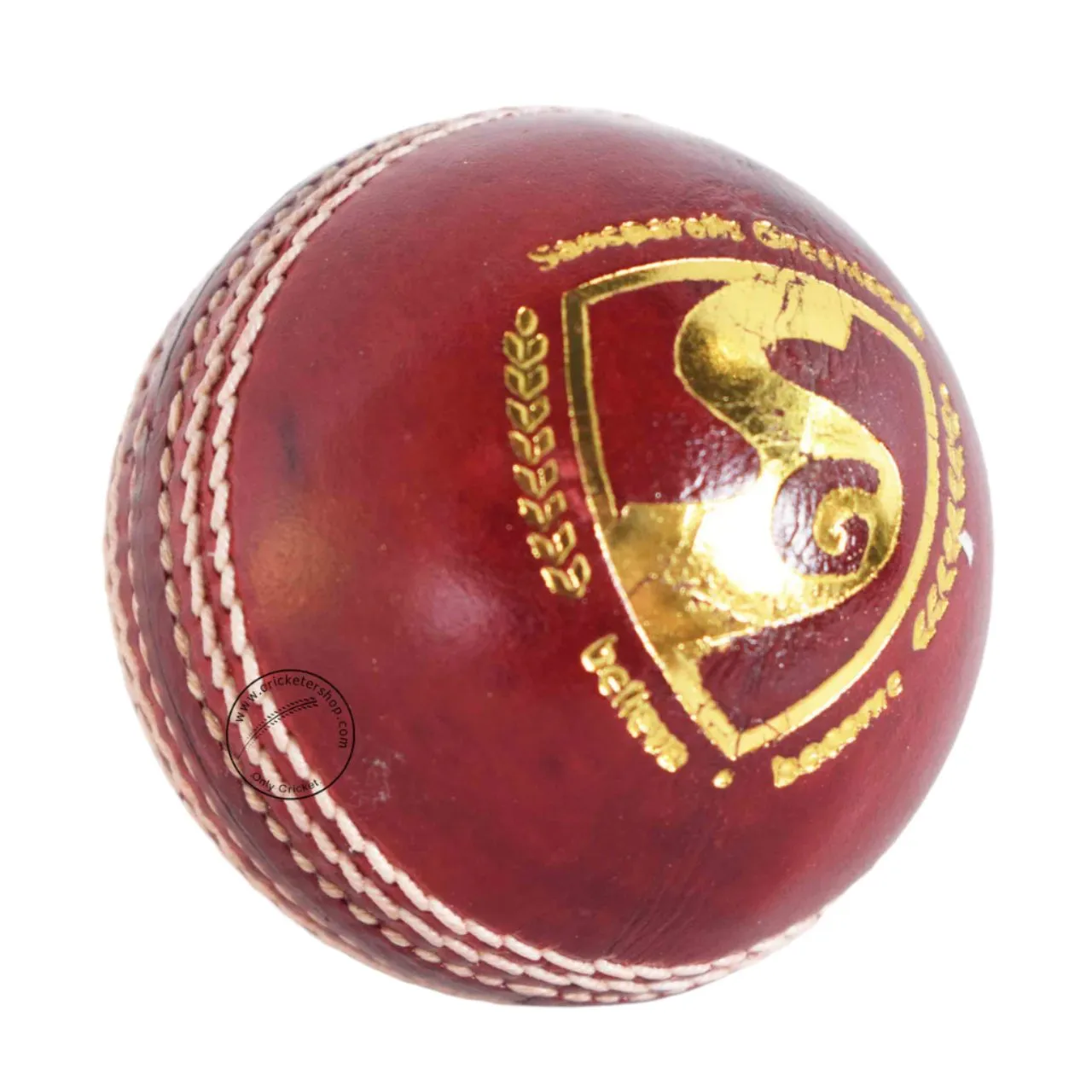 SG Club Cricket Ball Colour