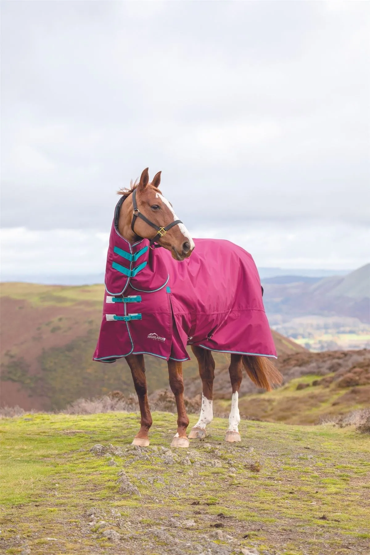 Shires Highlander Original 300 Turnout Combo