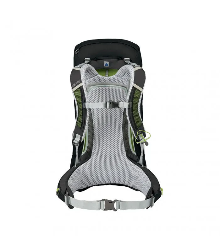 Stratos 34 Grey