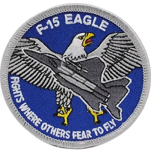 US Military USAF F-15 Eagle Fights Patch