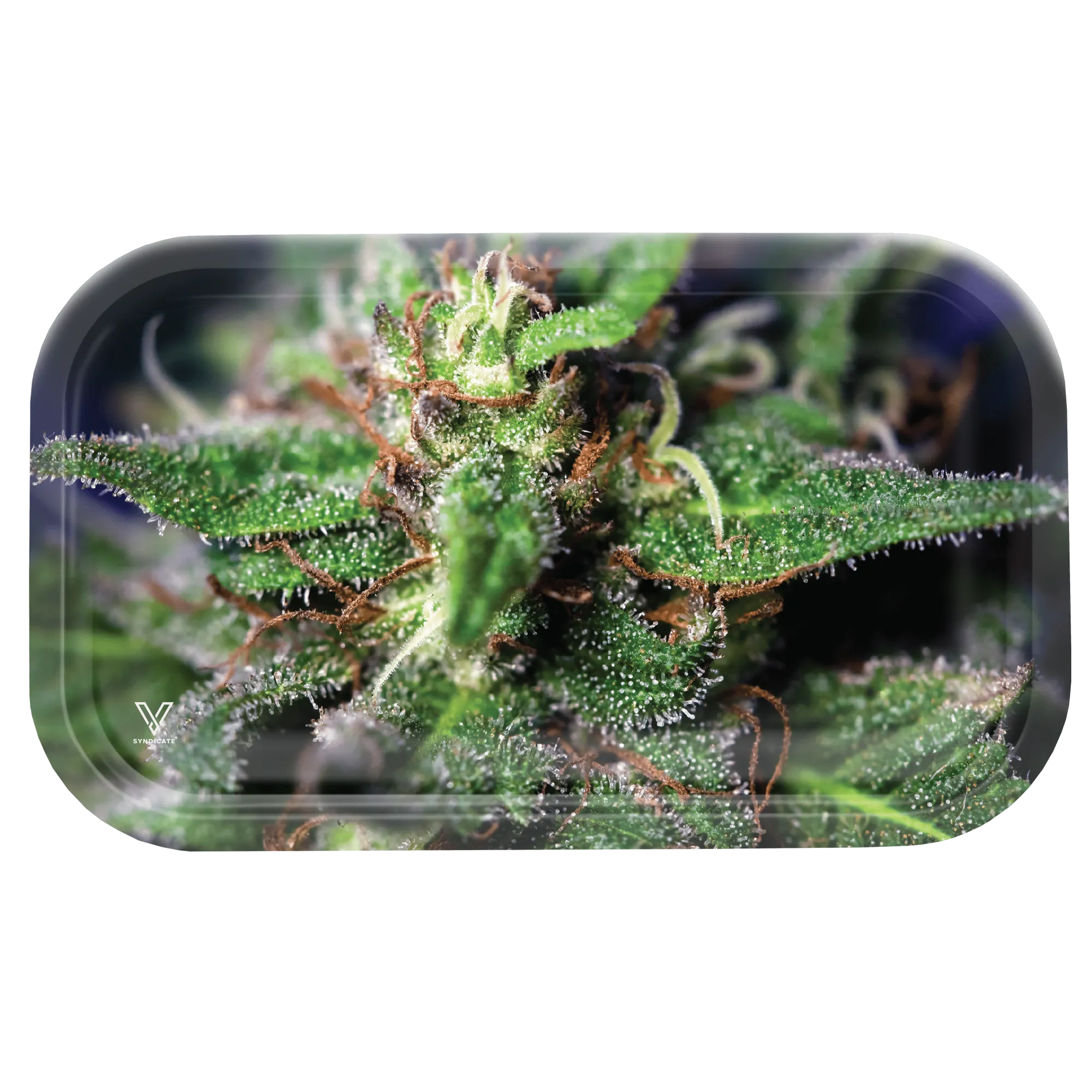V Syndicate - Blue Dream Rolling Tray - Medium - (1 Count)