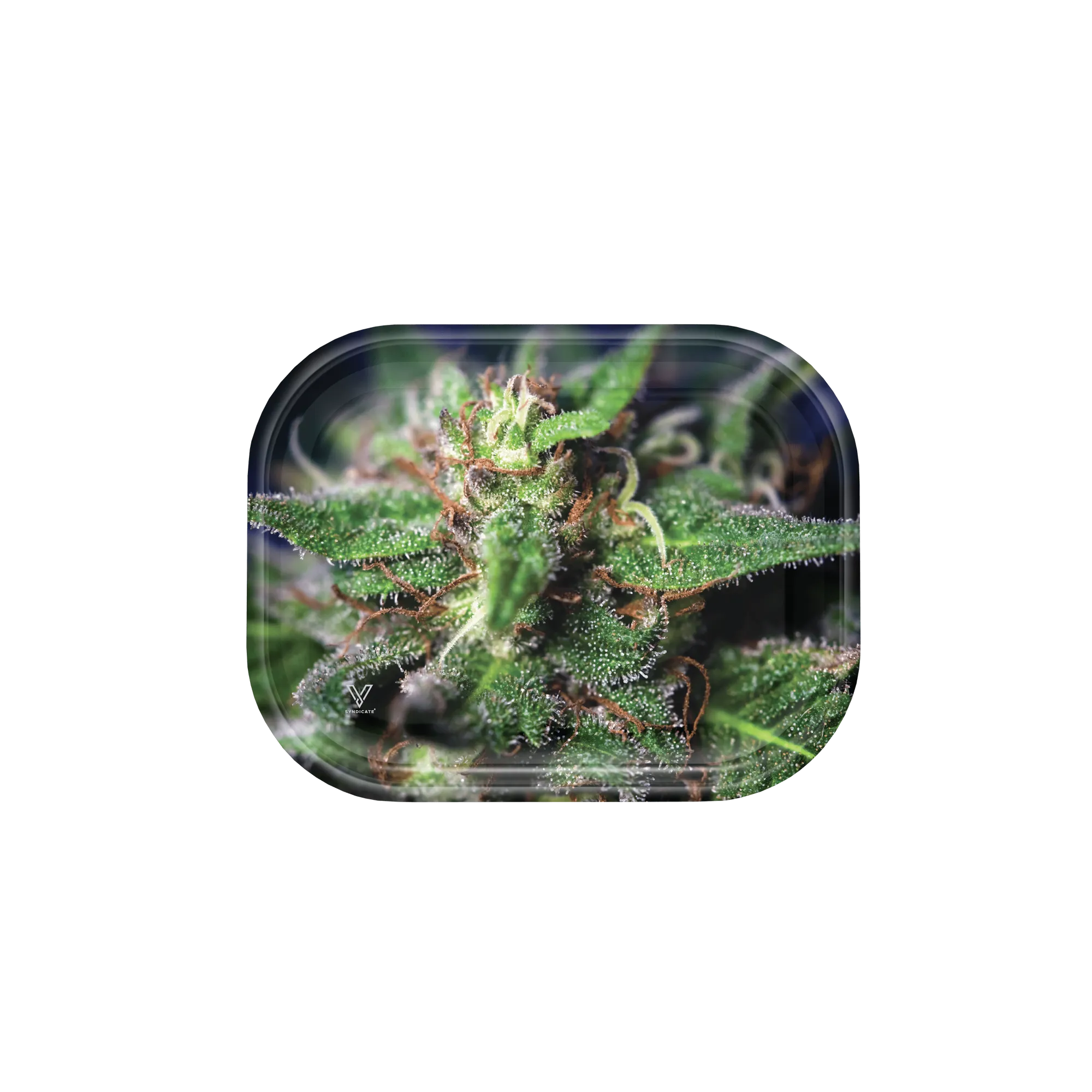 V Syndicate - Blue Dream Rolling Tray - Medium - (1 Count)