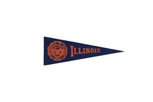 Vintage University of Illinois Felt Flag
