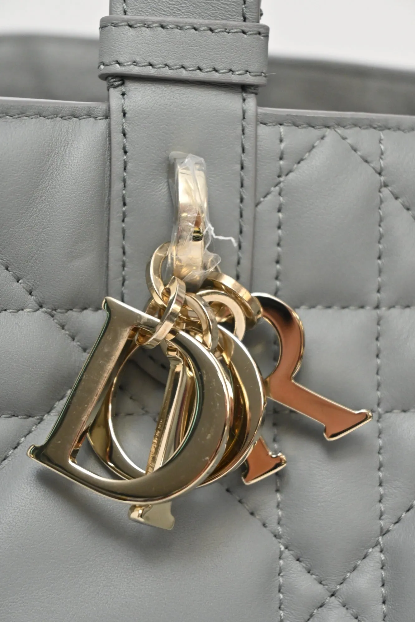 [WB5787] Christian Dior | Tote Bag